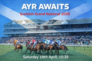 Scottish Grand National Blog