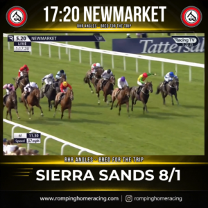 Bred For The Trip winning result
